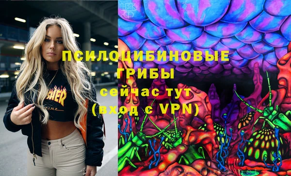 ПСИЛОЦИБИНОВЫЕ ГРИБЫ Алексеевка